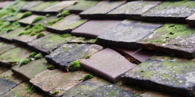 Stoke Row roof repair costs